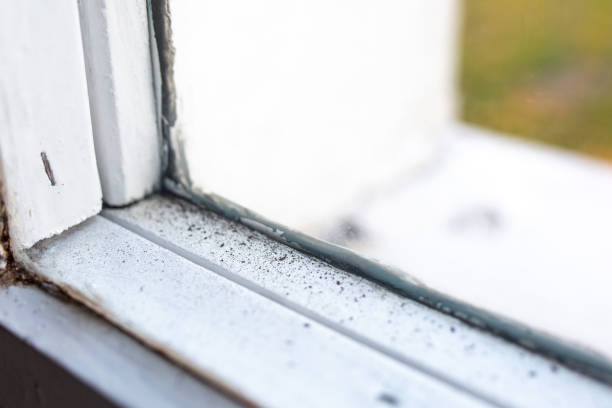 Best Air Quality Testing for Mold Spores  in Marengo, IA