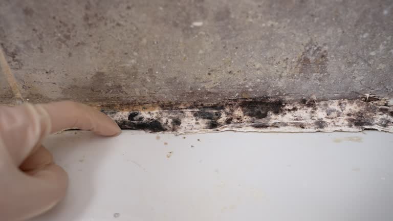 Best HVAC Mold Inspection and Cleaning  in Marengo, IA